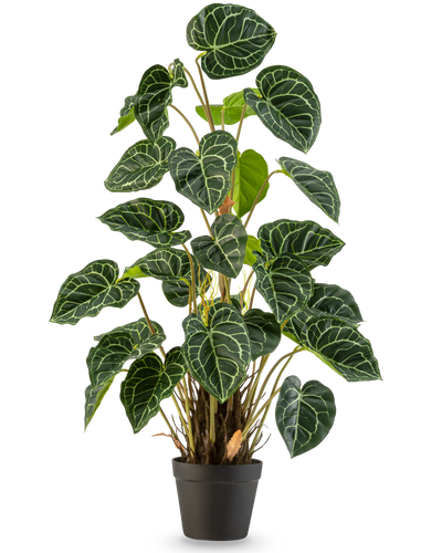 Een Kunstplant Anthurium 90 cm groen met weelderige, hartvormige groene bladeren en opvallende witte nerven, tegen een effen witte achtergrond.