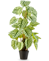 De Kunstplant Anthurium 90 cm groen is een kunstplant in pot met grote, ovale groen-wit gestreepte bladeren, rechtopstaand in een zwarte pot tegen een effen witte achtergrond.