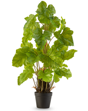 De Kunstplant Meloenblad 90 cm is een hoge kunstplant met brede, glanzend groene bladeren en meerdere rechtopstaande stengels, die staat in een eenvoudige zwarte pot tegen een effen witte achtergrond.