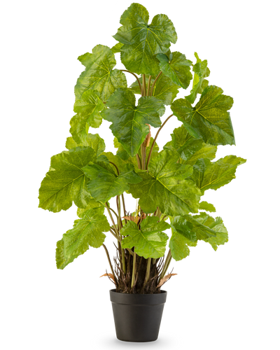 De Kunstplant Meloenblad 90 cm is een hoge kunstplant met brede, glanzend groene bladeren en meerdere rechtopstaande stengels, die staat in een eenvoudige zwarte pot tegen een effen witte achtergrond.