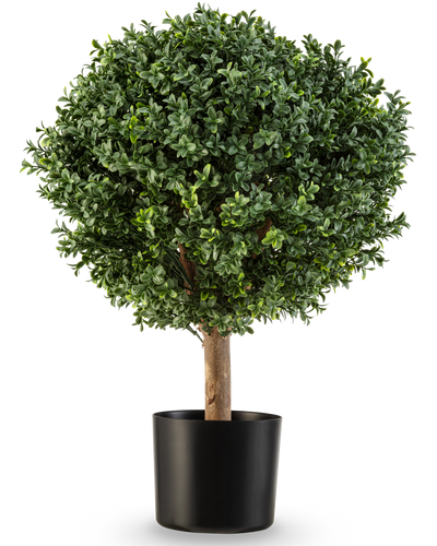 The Artificial Boxwood on Stem Roman Style UV 65cm has a round, lush green shape with dense foliage in a simple black pot, perfect for adding elegance against a white background.