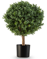 De Kunstplant Buxus op stam Romeinse stijl UV 65cm heeft een ronde, weelderig groene vorm met dicht gebladerte in een eenvoudige zwarte pot, perfect om elegantie toe te voegen tegen een witte achtergrond.