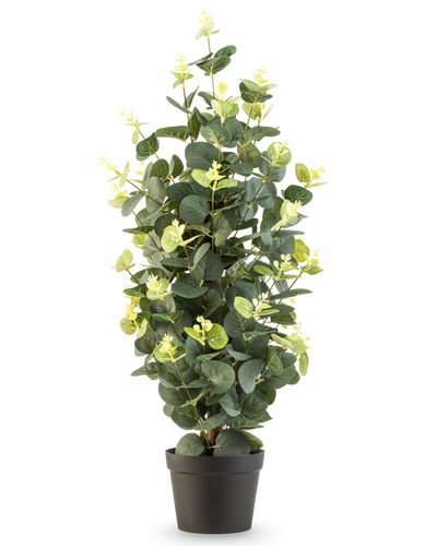 De Kunstplant Eucalyptus 61 cm is een kunstplant in pot met groene bladeren in een eenvoudige zwarte pot, die rechtop staat tegen een witte achtergrond.