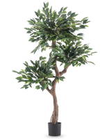 De Kunstplant Ficus Crazy 150 cm is een hoge kunstboom met drie trossen dichte groene bladeren en een gedraaide bruine stam, in een eenvoudige zwarte pot tegen een witte achtergrond.