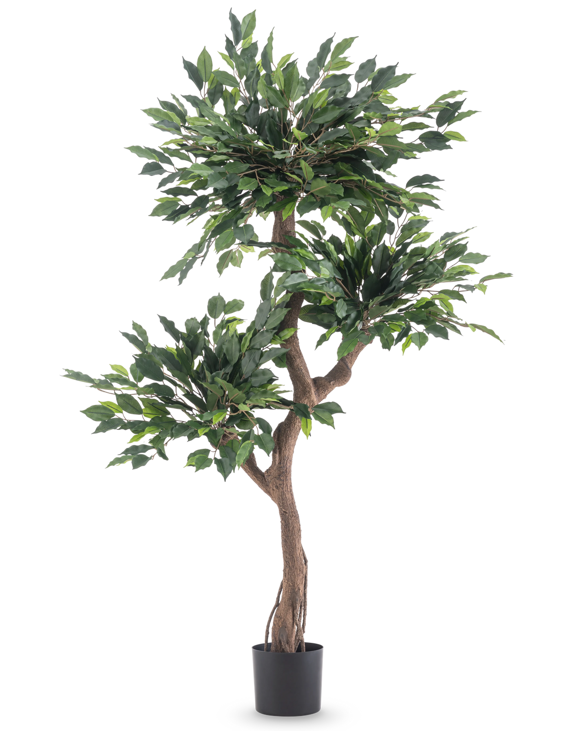 The Artificial Plant Ficus Crazy 150 cm is a tall artificial tree with three bunches of dense green leaves and a twisted brown trunk, in a simple black pot against a white background.