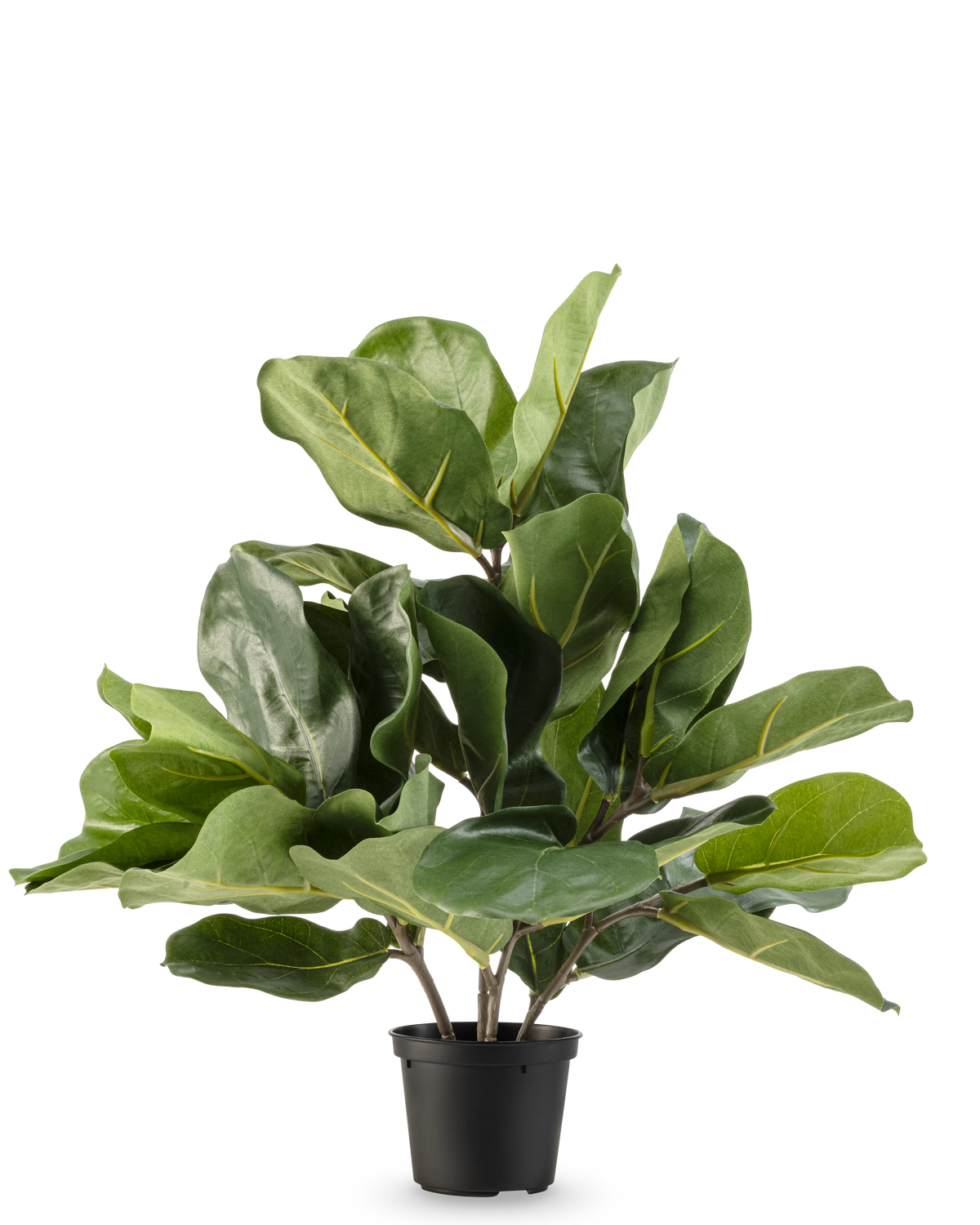 The Artificial Tobacco Plant Fiddle Leaf UV 45 cm has large, glossy green leaves and thick stems in a black plastic pot, against a plain white background.