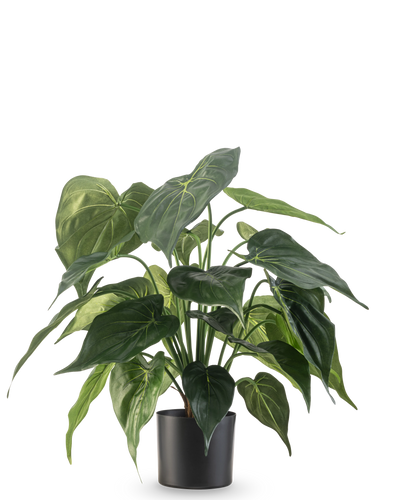 De Kunstplant Alocasia UV 51 cm heeft grote, glanzende, hartvormige bladeren en staat in een strakke zwarte bak tegen een effen witte achtergrond.