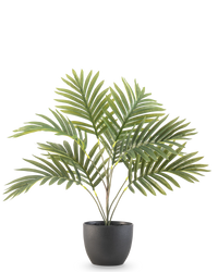 Artificial Palm Phoenix 50 cm in decorative pot Black