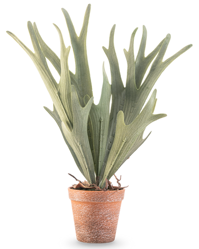 De Kunstplant Varen Staghorn 43 cm heeft levensechte groene, geweivormige bladeren in een kleine terracotta pot op een witte achtergrond.