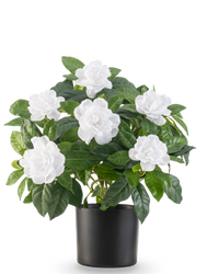 Artificial Plant Gardenia 39 cm White