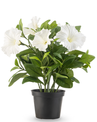 Artificial Flower Petunia Plant 25 cm White