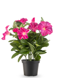 Artificial Petunia plant 25 cm dark pink