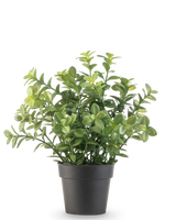 De Kunstplant Eucalyptus 27 cm heeft dichte groene bladeren in een eenvoudige donkergrijze pot, tegen een effen witte achtergrond.