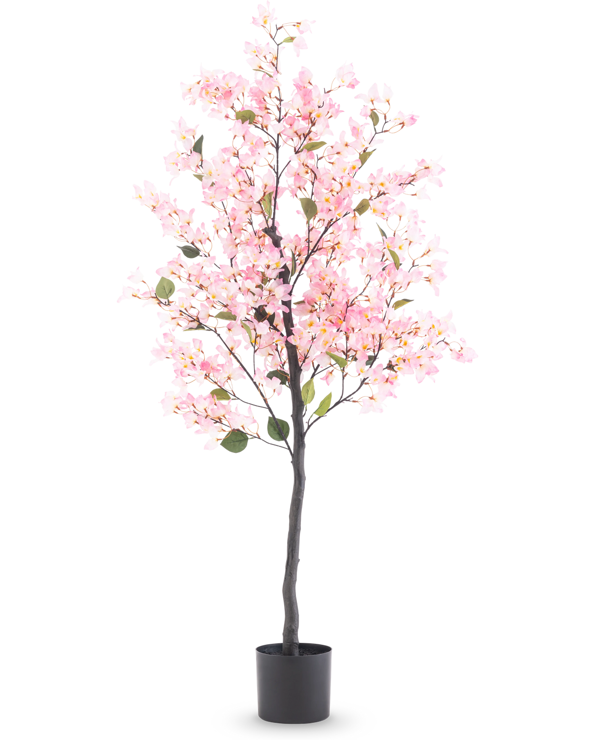 Artificial plant Bougainvillea 150 cm pink with pink flowers and green leaves in a black pot, isolated on white background.