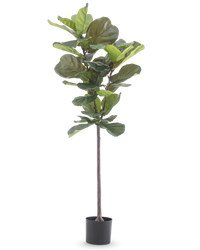 Artificial Plant Ficus Tobacco Deluxe 155 cm