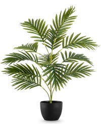 Artificial palm Phoenix 65 cm in decorative pot Black