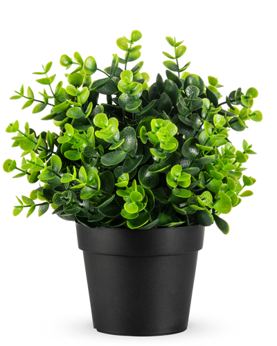 De Kunstplant Groen in pot UV 22 cm is een kleine, levendige groene kunstplant met dichte, ronde bladeren in een eenvoudige zwarte pot, afgebeeld tegen een effen witte achtergrond.