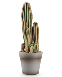 Artificial cactus 41 cm