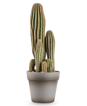 De Kunst Cactus 41 cm is een hoge, meerstammige groene kunstcactus met verticale richels en bruine randen, weergegeven in een eenvoudige grijze bloempot tegen een witte achtergrond.