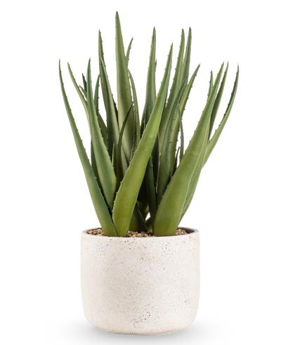 De Kunstplant Aloë Vera 43 cm heeft lange, puntige groene bladeren in een kleine, ronde pot met witte structuur en kiezels, tegen een effen witte achtergrond.