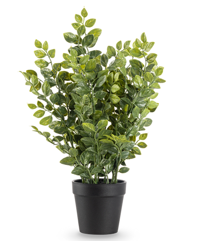 De Kunstplant Groen 35 cm is een realistische kunstplant in pot met weelderige groene bladeren in een eenvoudige zwarte pot, afgebeeld tegen een effen witte achtergrond.
