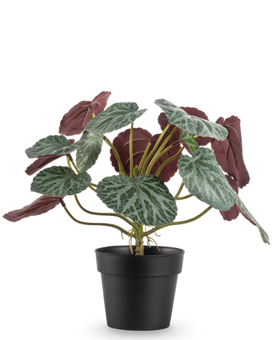 De Kunstplant Saxifraga 27 cm heeft groene bladeren met witte nerven en roodpaarse onderkanten, gepresenteerd in een eenvoudige zwarte pot tegen een effen witte achtergrond.