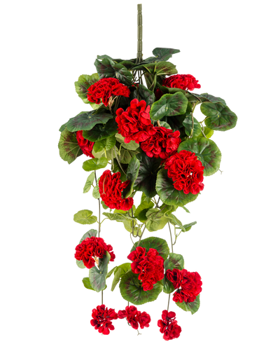 De Kunst hangplant Geranium 75 cm rood heeft levendige rode kunstgeraniumbloemen met weelderige groene bladeren die elegant naar beneden vallen.
