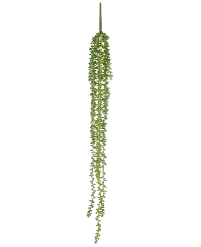 De Kunst hangplant Senecio 91 cm heeft lange, slingerende strengen met kleine ronde groene bladeren, die verticaal hangen tegen een effen witte achtergrond.