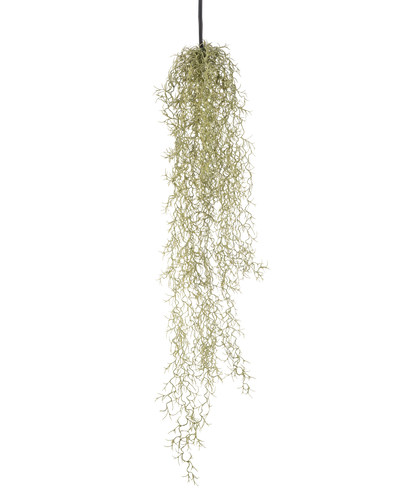 Een Kunst hangplant Gras 91 cm met lange, slepende lichtgroene bladeren hangt aan een zwart koord tegen een effen witte achtergrond.