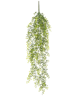 De Kunst hangplant Buxus 80 cm is een kunst hangplant met lange, slingerende groene ranken en kleine ronde blaadjes tegen een witte achtergrond.