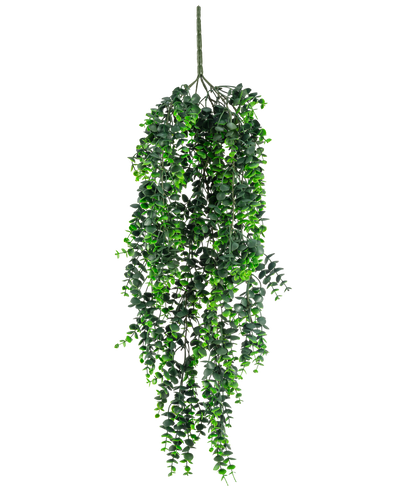 De Kunst hangplant Eucalyptus UV 80 cm heeft dichte, trapsgewijze groene bladeren en een zichtbare steel aan de bovenkant, tegen een effen witte achtergrond.