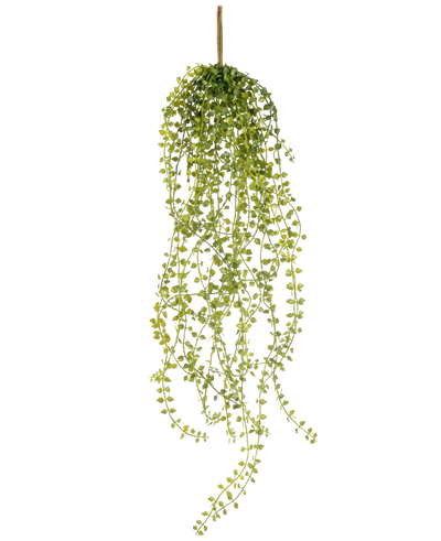 De Kunst hangplant Jasmin 63 cm is een kunst hangplant met lange, hangende stengels van kleine, ronde groene blaadjes, hangend aan een enkele bruine stengel tegen een witte achtergrond.