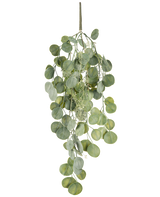 De Kunst hangplant Eucalyptus 73 cm heeft ronde groene bladeren aan meerdere stelen die sierlijk tegen een witte achtergrond hangen.