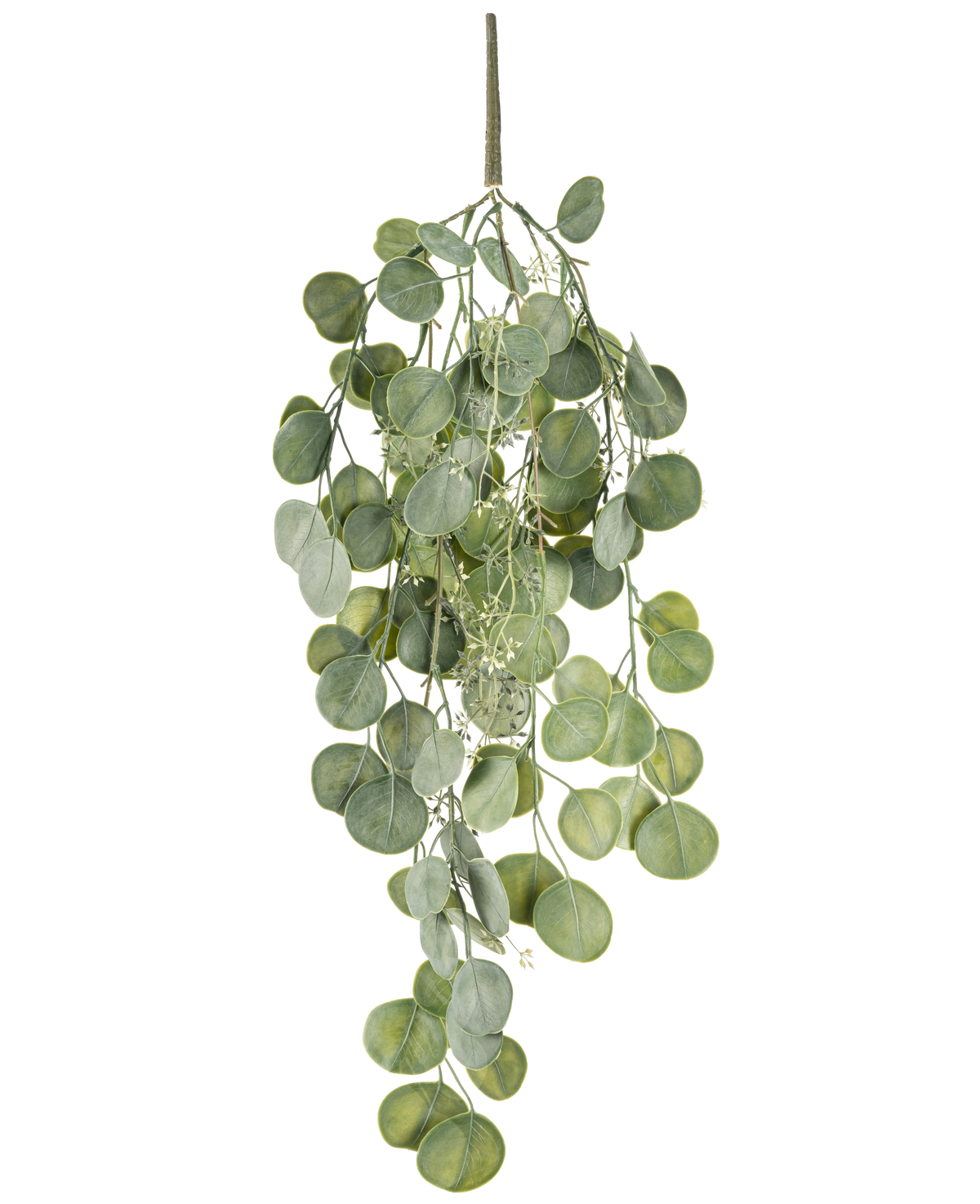 The artificial hanging plant Eucalyptus 73 cm has round green leaves on several stems that hang gracefully against a white background.