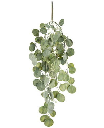 De Kunst hangplant Eucalyptus 73 cm heeft ronde groene bladeren aan meerdere stelen die sierlijk tegen een witte achtergrond hangen.