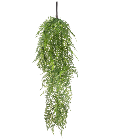 De Kunst hangplant Asparagus 78 cm heeft lange, delicate groene bladeren die naar beneden vallen, waardoor een weelderig, levensecht beeld ontstaat tegen een effen witte achtergrond.