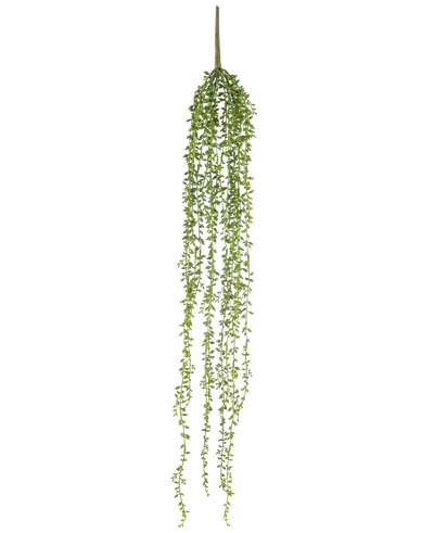 De Kunst hangplant Senecio 91 cm heeft lange, hangende stengels met kleine groene blaadjes, waardoor een elegante kunst hangplant ontstaat tegen een effen witte achtergrond.