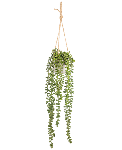 De Kunst hangplant Senecio in pot 55 cm heeft lange groene hangende stengels met ronde bladeren, hangend in een witte pot aan een tan touw, perfect om groen toe te voegen aan elke ruimte.