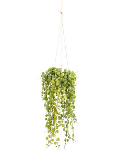 De Kunst hangplant Vetplant 53 cm in pot heeft ronde groene bladeren die uit een hangende pot komen, vastgehouden door dunne bruine koorden tegen een effen witte achtergrond.