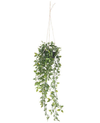 De Kunst hangplant Scindapsus in pot 73 cm heeft weelderige groene bladeren en lange slingerende ranken, opgehangen aan dun touw tegen een effen witte achtergrond.