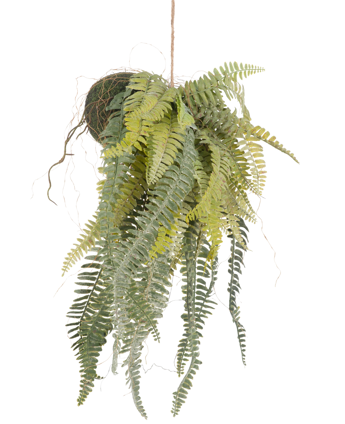 The Artificial hanging plant Frosted Fern on ball 97 cm has graceful, long green leaves that hang from a moss-covered ball on a thin rope. A stylish, maintenance-free houseplant that fits perfectly in any interior.