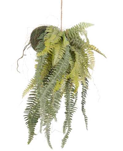 The Artificial hanging plant Frosted Fern on ball 97 cm has graceful, long green leaves that hang from a moss-covered ball on a thin rope. A stylish, maintenance-free houseplant that fits perfectly in any interior.
