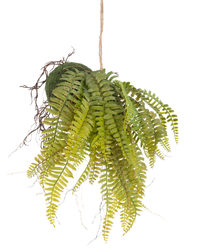 De Kunst hangplant Varen op bal 26 cm heeft levensechte groene bladeren in een met mos bedekte bol, opgehangen aan een touwtje - een ideaal decoratief stuk voor elk interieur tegen een witte achtergrond.