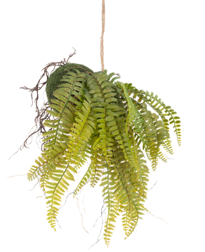 De Kunst hangplant Varen op bal 26 cm heeft levensechte groene bladeren in een met mos bedekte bol, opgehangen aan een touwtje - een ideaal decoratief stuk voor elk interieur tegen een witte achtergrond.