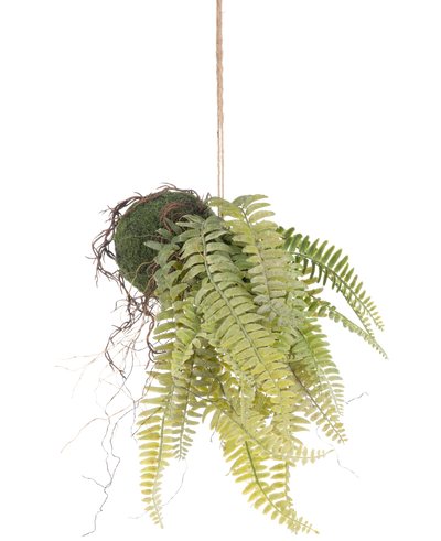 De Kunst hangplant Frosted Varen op bal 76 cm heeft levensechte groene varenbladeren en blootliggende wortels in kokedama stijl, hangend aan een bruin koord - perfect om blijvend groen toe te voegen aan elke kamer.