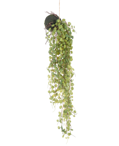 De Kunst hangplant Vetplant op bol 78 cm heeft groene ronde bladeren die uit een kleine, bolvormige met mos bedekte plantenbak komen, perfect als decoratief accent tegen een effen witte achtergrond.