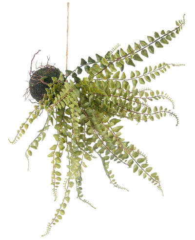 De Kunst hangplant Varen bal 45 cm heeft slepende groene varenachtige bladeren en hangt aan een touwtje, perfect om uit te stallen tegen een witte achtergrond.
