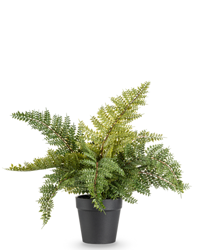 De Kunstplant Varen 33 cm is een weelderig groene kunstvaren met gevederde bladeren in een eenvoudige zwarte pot, afgebeeld tegen een effen witte achtergrond.