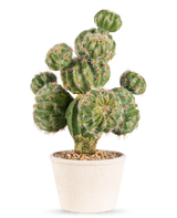 De Kunst Cactus 32 cm heeft een groene, ronde cactus met stekels in een pot van wit keramiek gevuld met kleine steentjes tegen een lichtgrijze achtergrond.