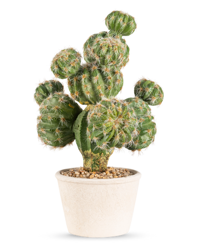 De Kunst Cactus 32 cm heeft een groene, ronde cactus met stekels in een pot van wit keramiek gevuld met kleine steentjes tegen een lichtgrijze achtergrond.